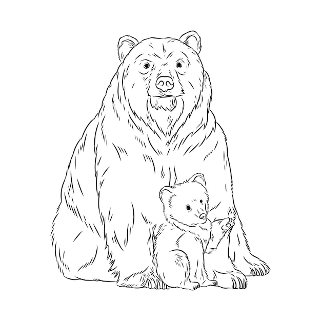 Hand drawn bear outline illustration