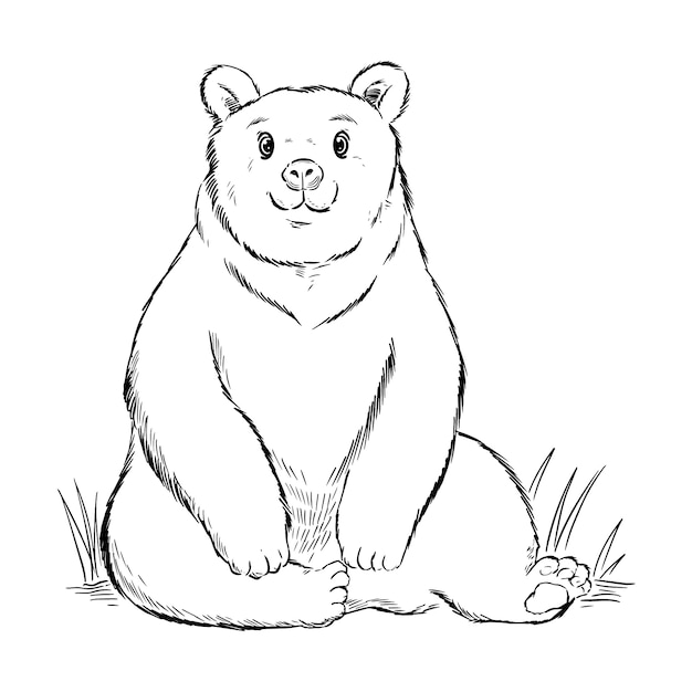 Hand drawn bear outline