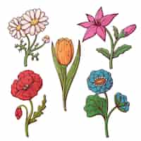 Бесплатное векторное изображение Набор рисованной красивых цветов