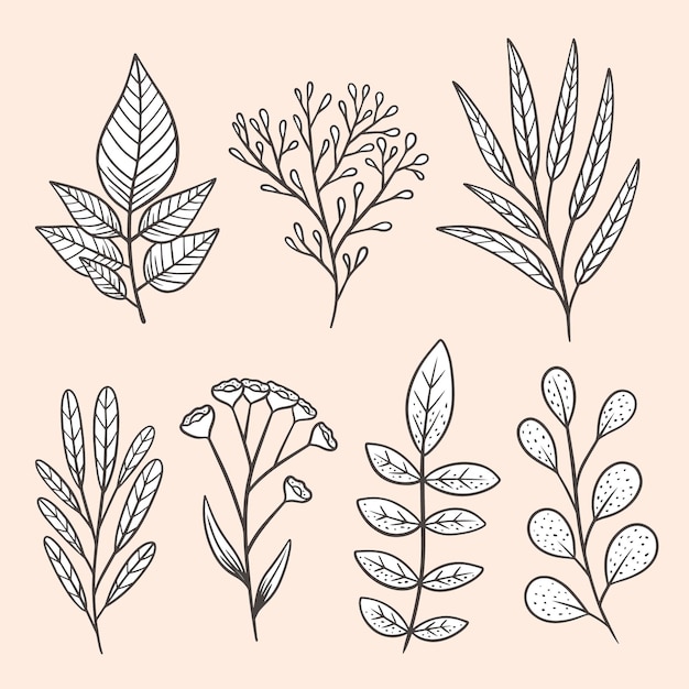 Free vector hand drawn beautiful flowers pack