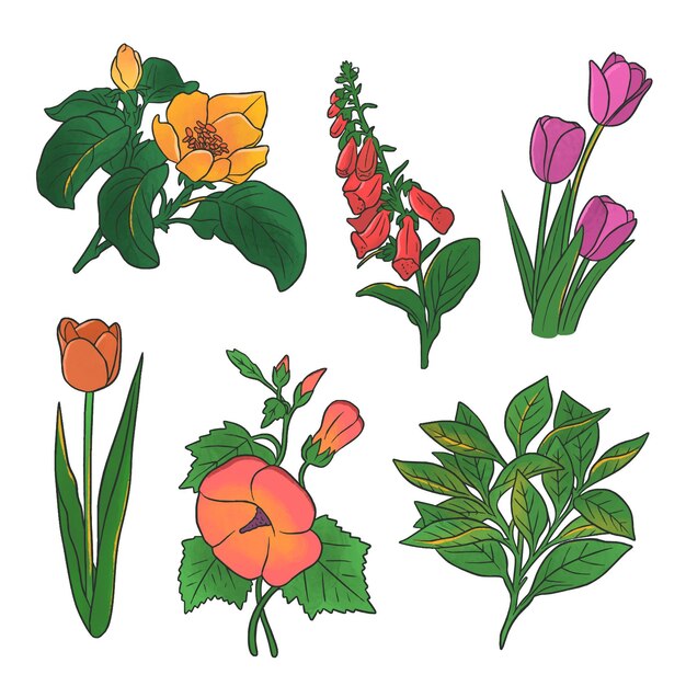 Hand drawn beautiful flowers pack