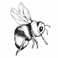 無料ベクター 手描きの蜂の描画イラスト