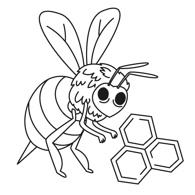 Hand drawn bee outline illustration