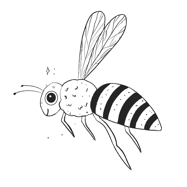 Honey Bee Drawing Images  Browse 125459 Stock Photos Vectors and Video   Adobe Stock