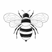 Free vector hand drawn bee outline illustration
