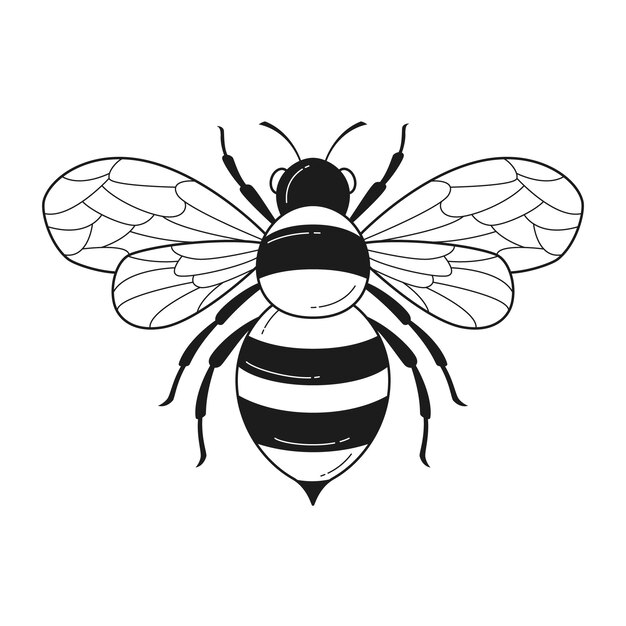 Hand drawn bee outline illustration