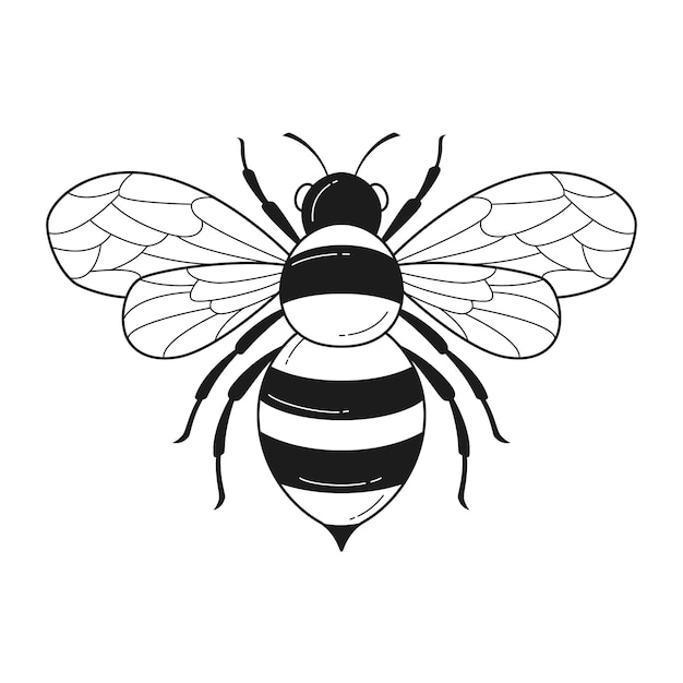 Hand drawn bee outline illustration