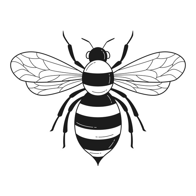 Hand drawn bee outline illustration