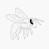 Free vector hand drawn bee outline illustration