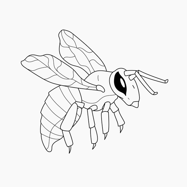 Hand drawn bee outline illustration