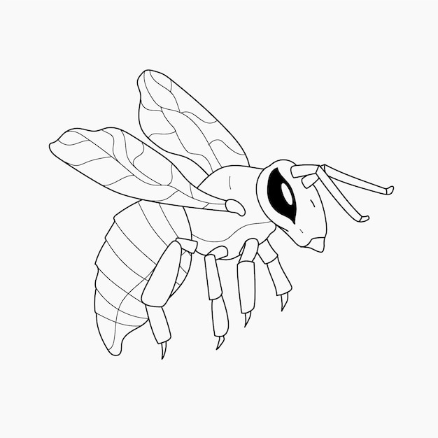 Hand drawn bee outline illustration