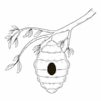 Free vector hand drawn beehive  drawing illustration