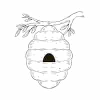 Free vector hand drawn beehive  drawing illustration