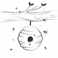 Free vector hand drawn beehive drawing illustration