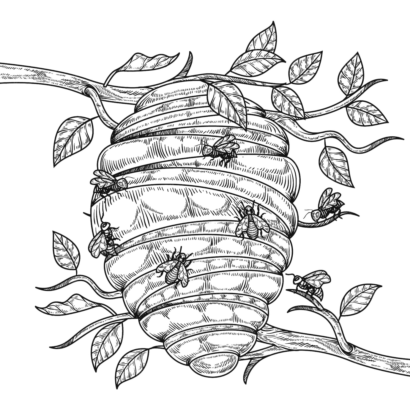 Free Vector Hand drawn beehive drawing illustration