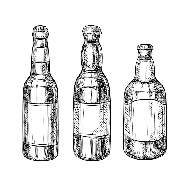 Hand drawn beer bottle drawing illustration