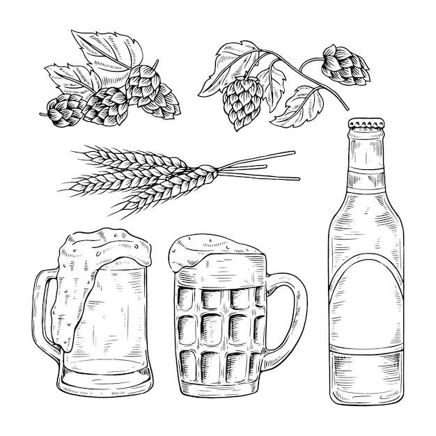 Бесплатное векторное изображение Нарисованная рукой иллюстрация чертежа пива