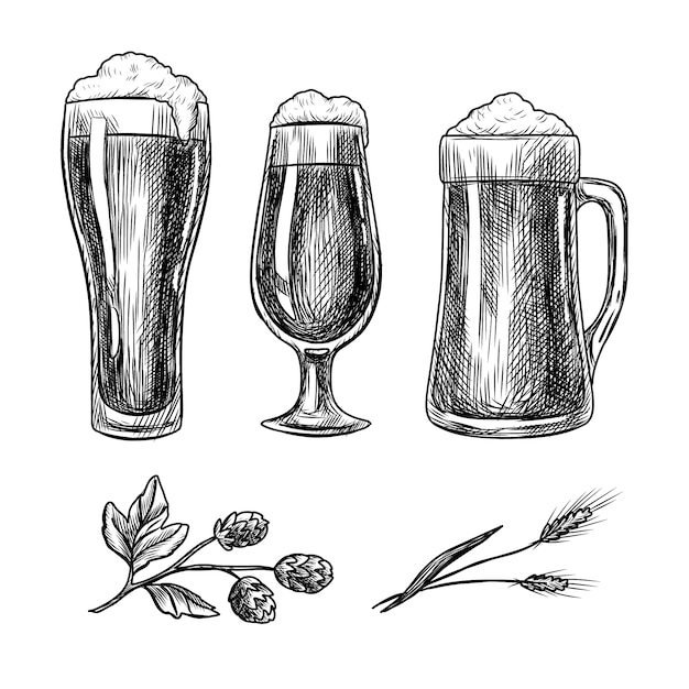 Vettore gratuito illustrazione di disegno di birra disegnata a mano