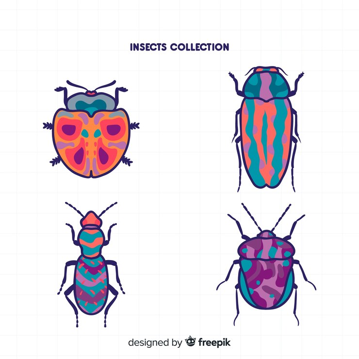 Free Vector hand drawn beetle collection