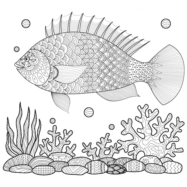 Hand drawn big fish background