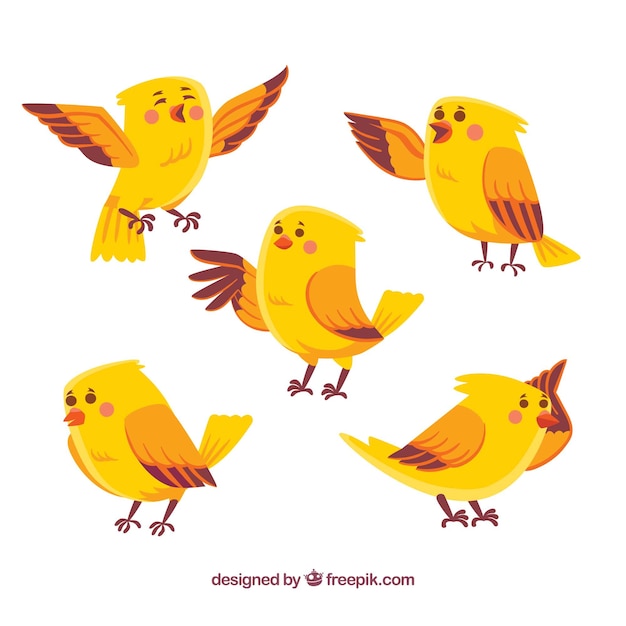 Hand drawn bird collection in yellow