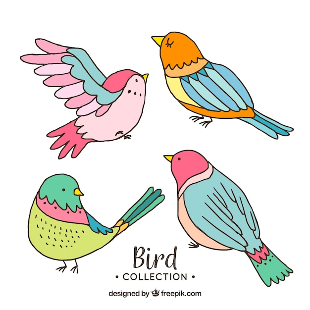 Free Vector hand drawn bird collection