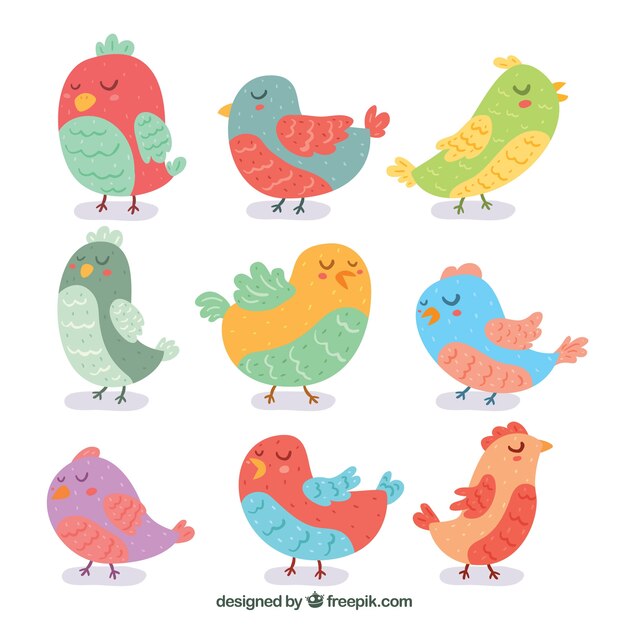 hand drawn bird collection