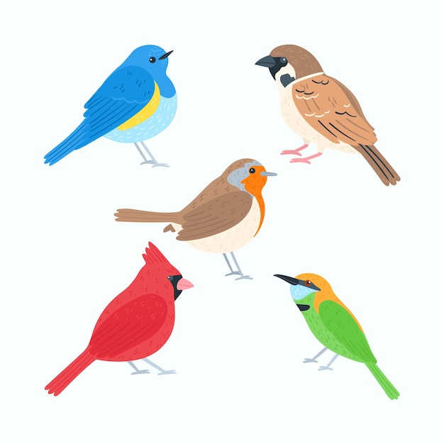 Hand drawn bird collection