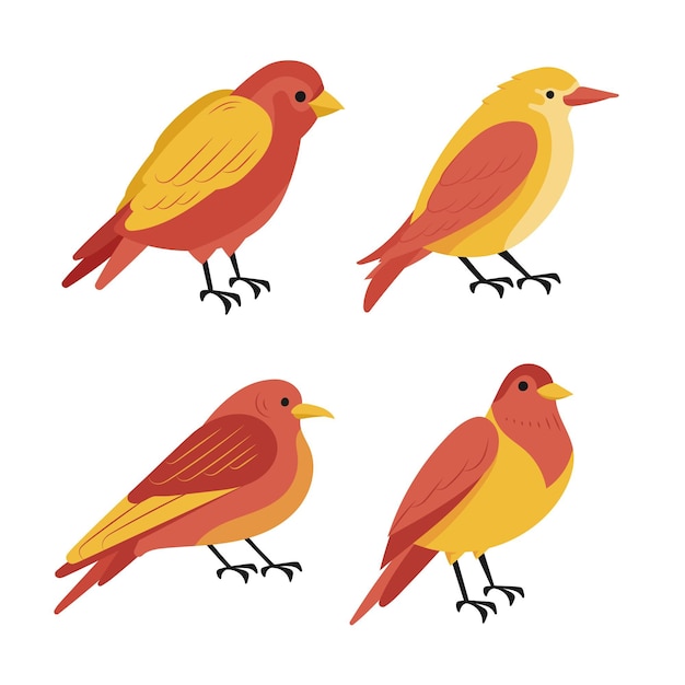 Free vector hand drawn bird collection