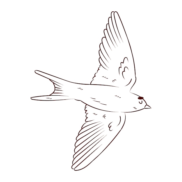 Free vector hand drawn bird outline illustration