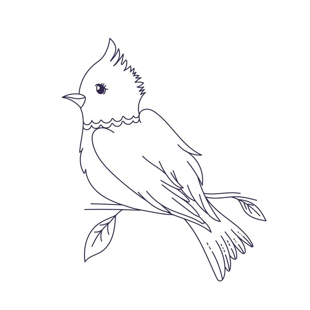 Hand drawn bird outline illustration