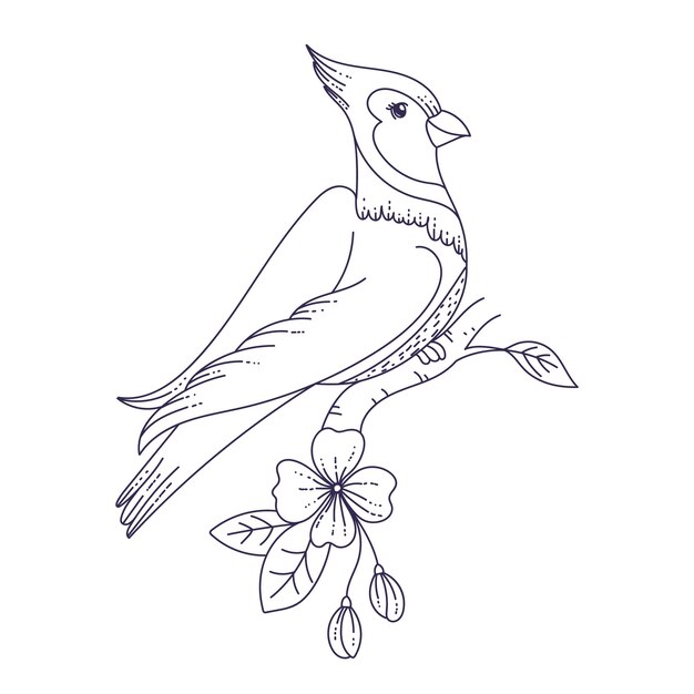 Hand drawn bird outline illustration