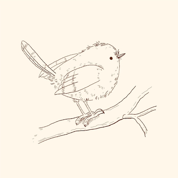 Free Vector hand drawn bird outline illustration