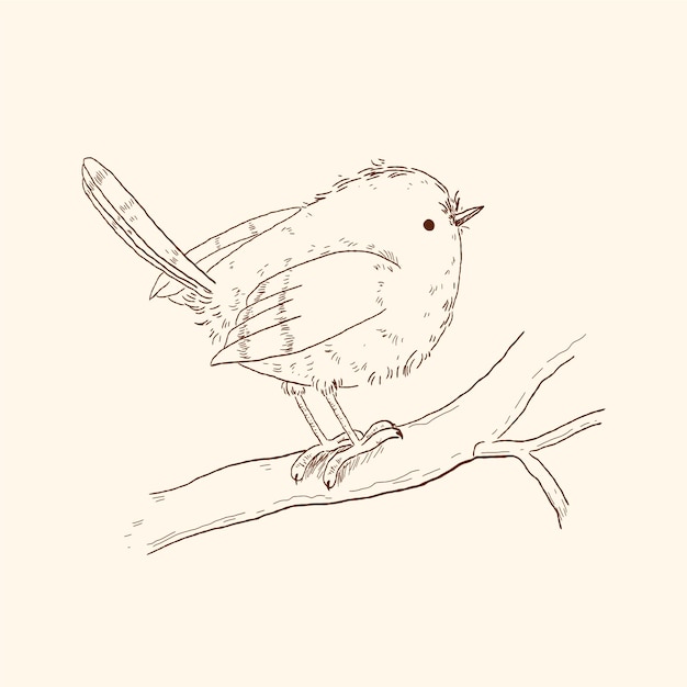 Hand drawn bird outline illustration