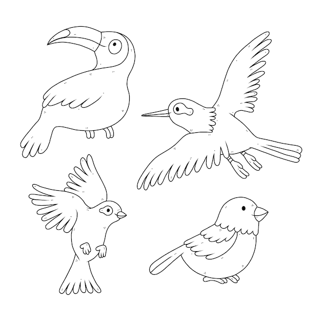 手描きの鳥の概要図