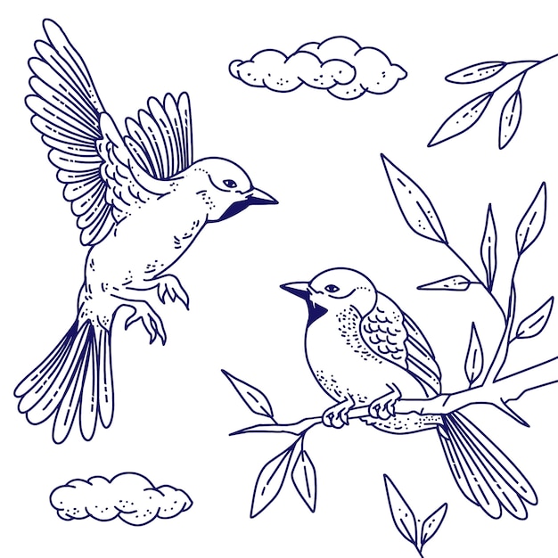 Free vector hand drawn bird outline illustration