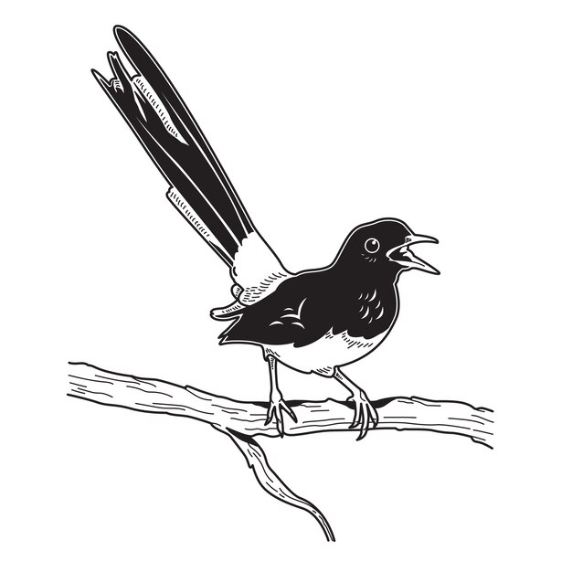 Hand drawn bird outline illustration