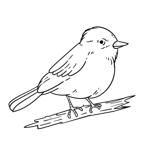 Hand drawn bird outline illustration