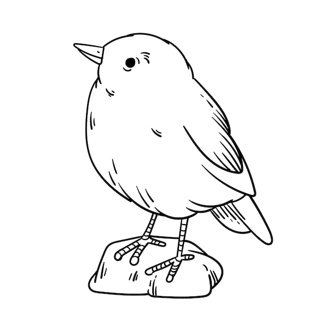 Hand drawn bird outline illustration