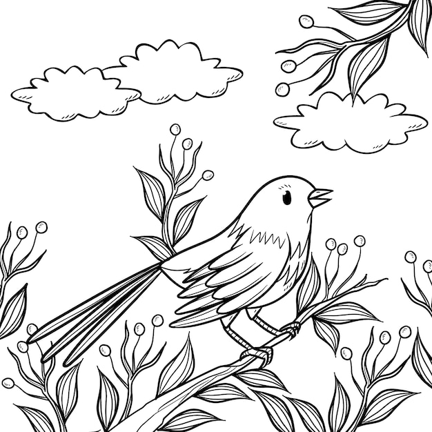 Free vector hand drawn bird outline illustration