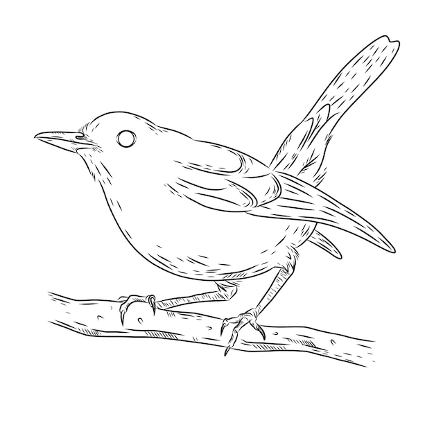Hand drawn bird outline illustration