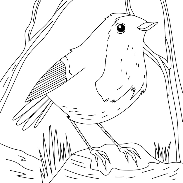 Hand drawn bird outline illustration