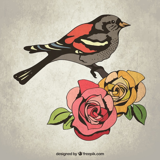 Ручной обращается птица и розы