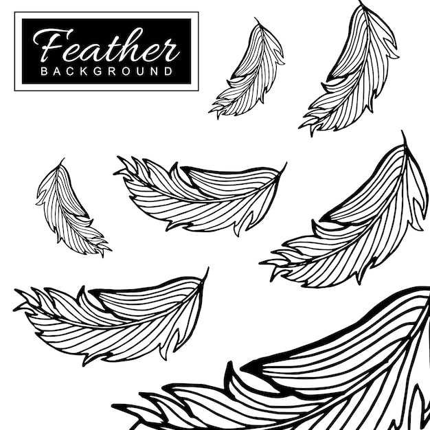 Hand drawn black & white feather background