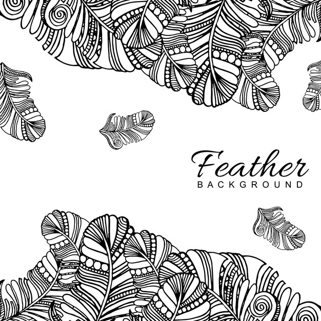 Hand Drawn Black &amp; White Feather Background