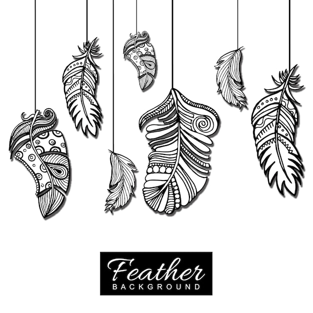 Hand drawn black & white feather background