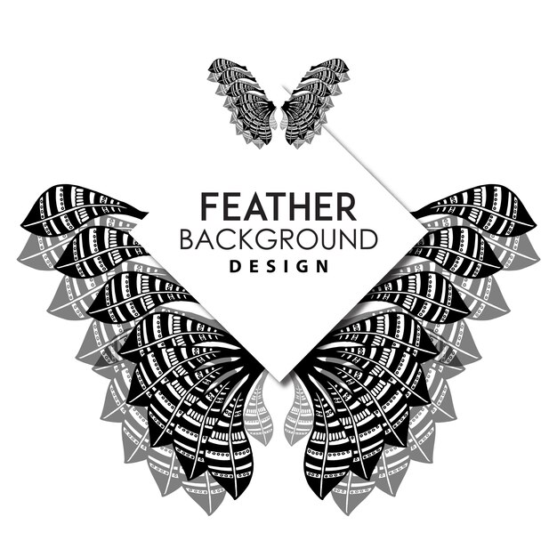 Hand Drawn Black &amp; White Feather Background