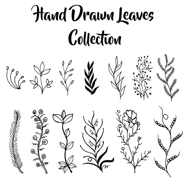 Hand Drawn Black and White leaves Collection