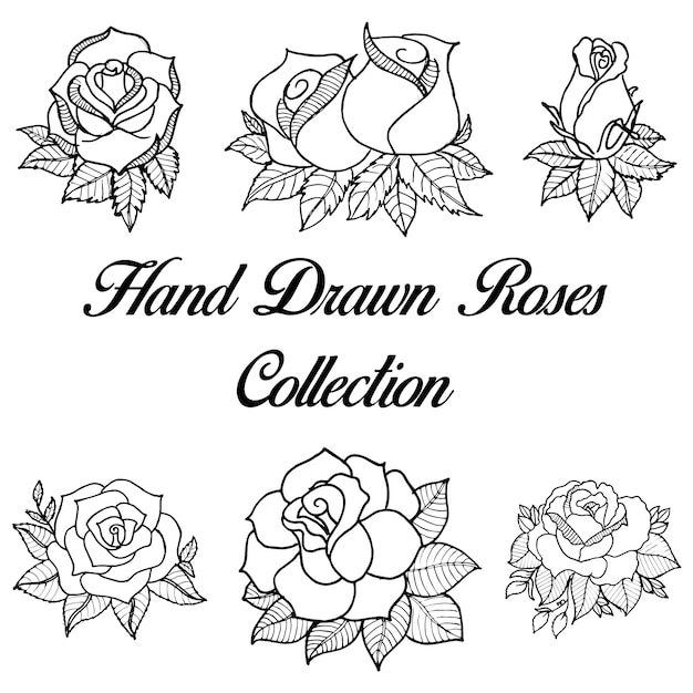 Free vector hand drawn black and white roses collection