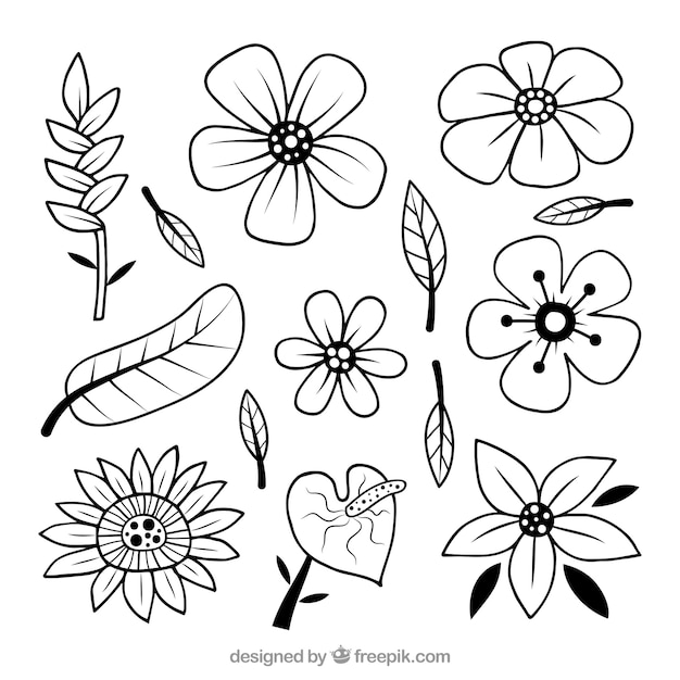 Hand drawn black and white tropical flower set